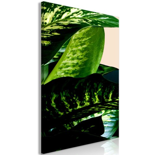 Dieffenbachia (1 rész) Függőleges 20x30 - vászonkép