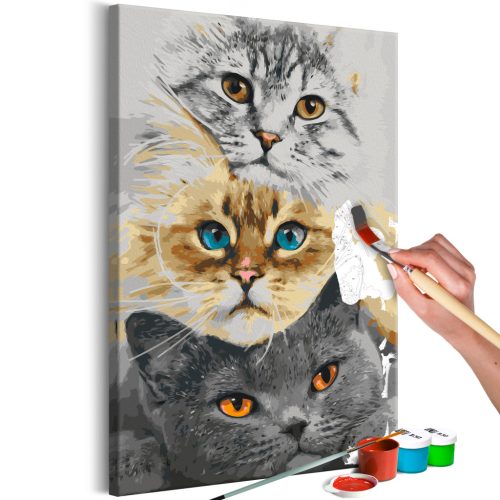 Cat's Trio 40x60 - Számos kifestő keretre feszítve