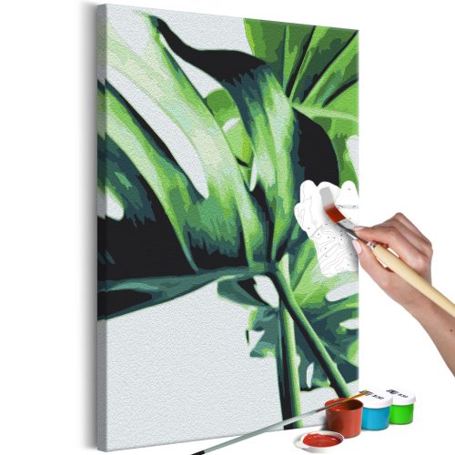 Monstera Adansonii 40x60 - Számos kifestő keretre feszítve