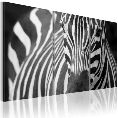 Mrs. Zebra 120x80 - vászonkép