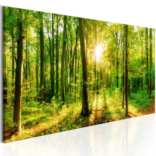 Green Magic 120x40 - vászonkép