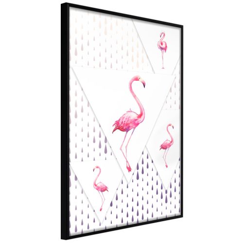 Flamingó család [plakát] 40x60 - Plakát