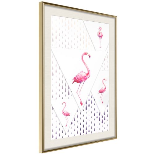 Flamingó család [plakát] 40x60 - Plakát