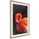 Flamingo Solo [Poszter] 40x60 - Plakát