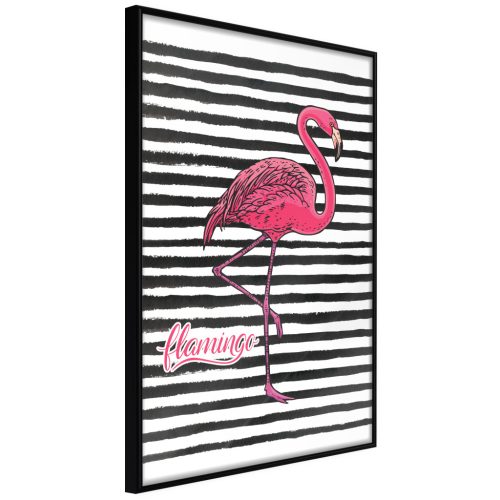 Fekete csíkok és flamingó [poszter] 40x60 - Plakát