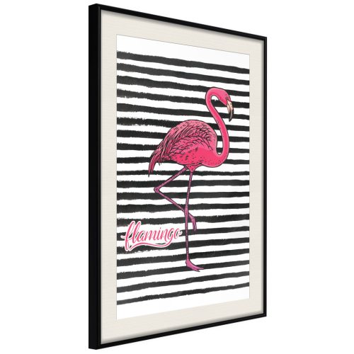 Fekete csíkok és flamingó [poszter] 20x30 - Plakát