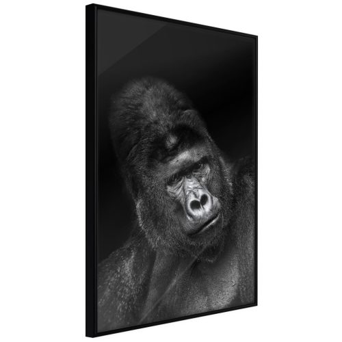 Gorilla [Poszter] 20x30 - Plakát