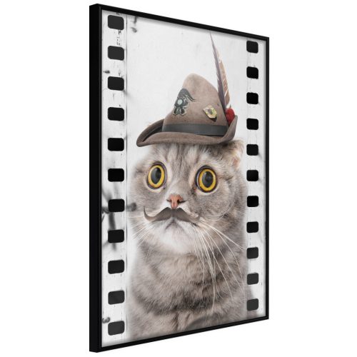 Cat In Hat [Poszter] 40x60 - Plakát