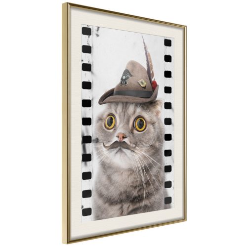 Cat In Hat [Poszter] 40x60 - Plakát