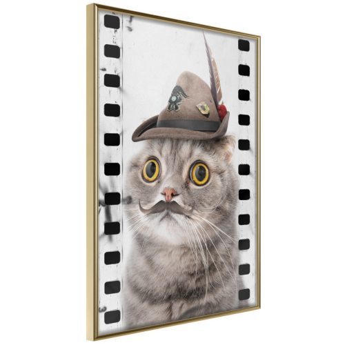 Cat In Hat [Poszter] 30x45 - Plakát