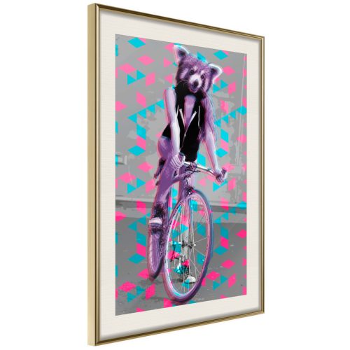 Raccoon On The Bike [Poszter] 20x30 - Plakát