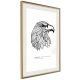 Eagle of Freedom [Poszter] 40x60 - Plakát