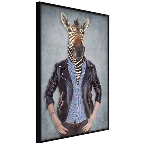 Zebra Ewa [Poszter] 40x60 - Plakát