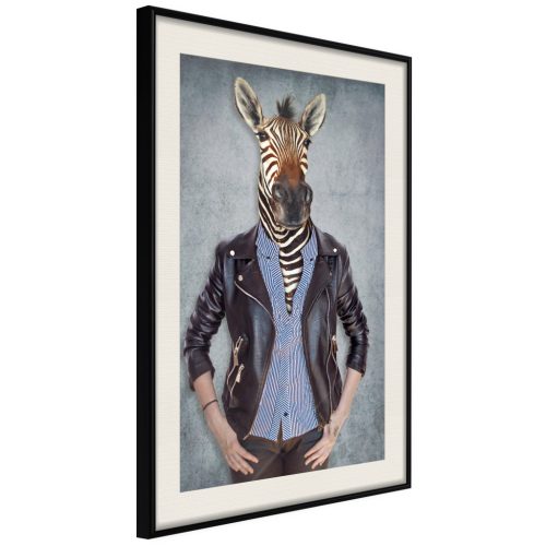 Zebra Ewa [Poszter] 40x60 - Plakát