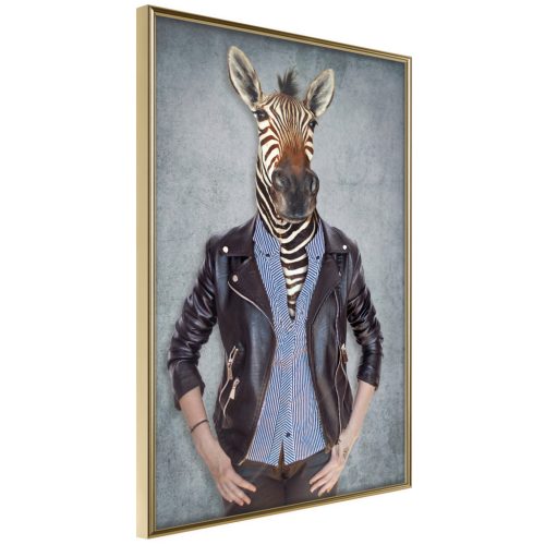 Zebra Ewa [Poszter] 40x60 - Plakát