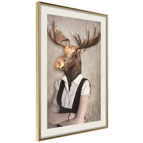 Brainy Moose [Poszter] 40x60 - Plakát