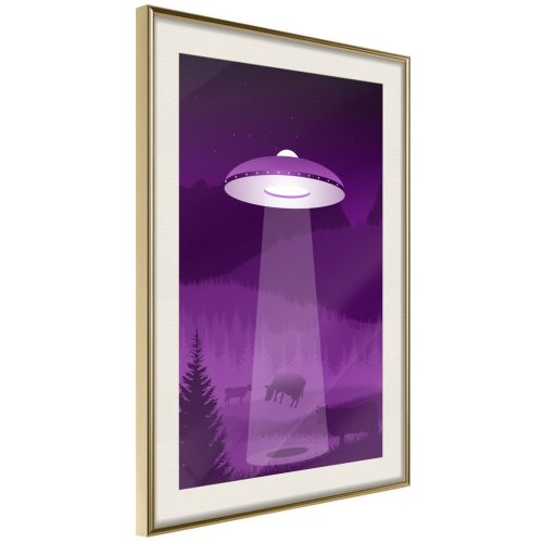 Ufo [Poszter] 40x60 - Plakát