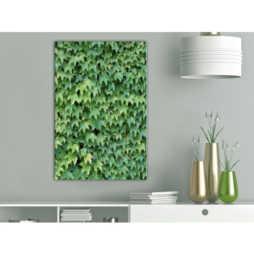 Vastag Ivy (1 rész) Függőleges 60x90 - vászonkép