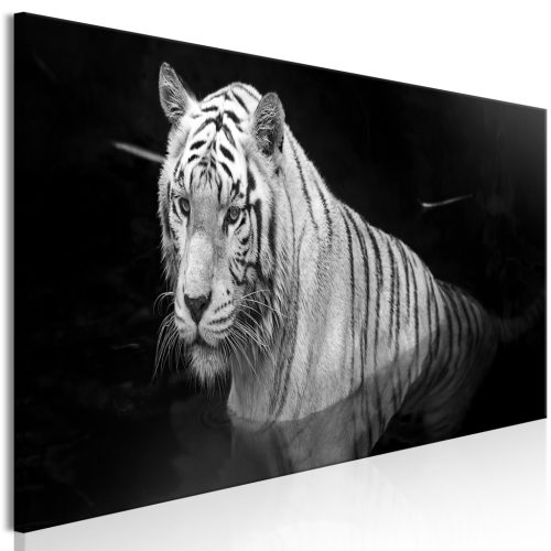 Shining Tigris (1 rész) Fekete-fehér Keskeny 120x40 - vászonkép