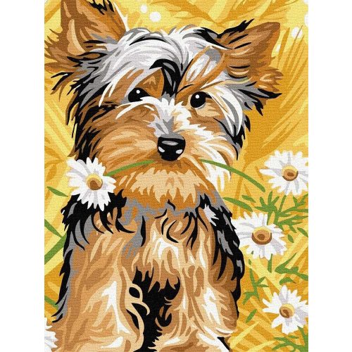 Yorki kamillával - Számos kifestő keretre feszítve (30x40 cm)