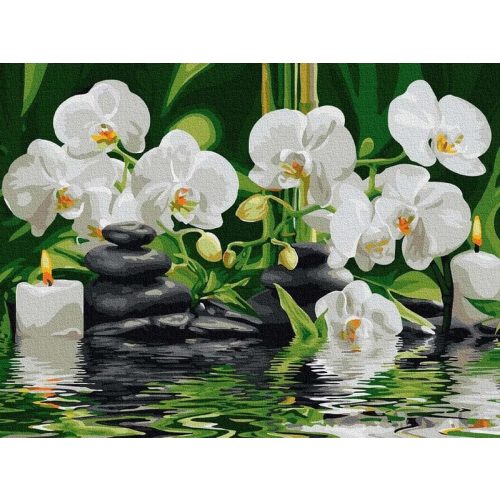 Vízi Orchideák - számfestő készlet, keretre feszítve ( 30x40 cm )