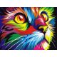 Színes macska - Számos kifestő keretre feszítve (30x40 cm)