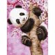 Édes panda - számfestő készlet, keretre feszítve ( 30x40 cm )