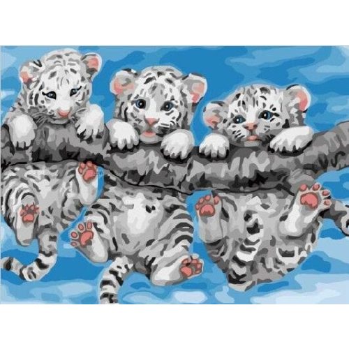 Három tigris egy ágon - Számfestő keretre feszítve (30x40 cm)