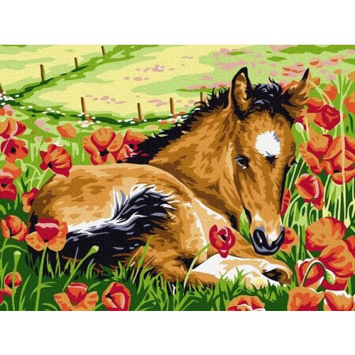Fiatal évek - Számos kifestő keretre feszítve (30x40 cm)
