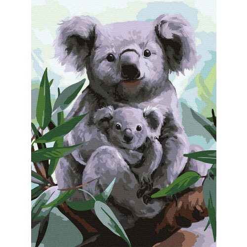 Koala - számfestő készlet, keretre feszítve ( 30x40 cm )
