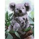 Koala - Számos kifestő keretre feszítve (30x40 cm)