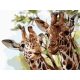 Zsiráfok - Számos kifestő keretre feszítve (30x40 cm)