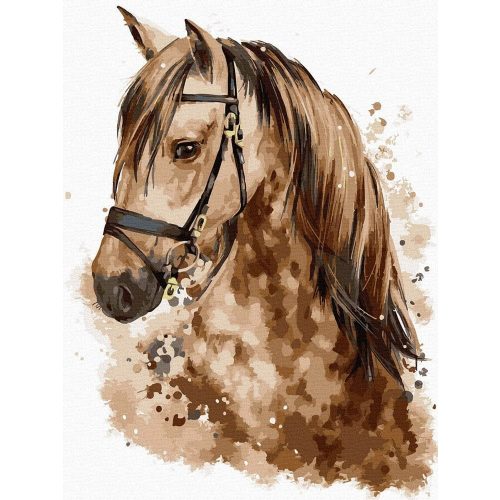 Gyönyörű ló - Számfestő keretre feszítve (30x40 cm)