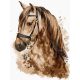 Gyönyörű ló - számfestő készlet, keretre feszítve ( 30x40 cm )