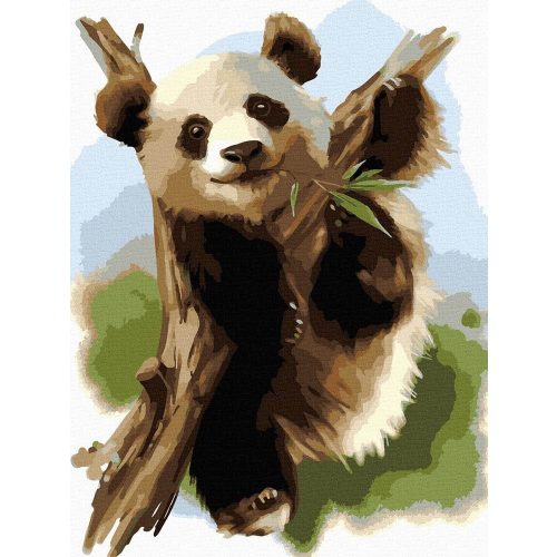 Panda medve - Számos kifestő keretre feszítve (30x40 cm)