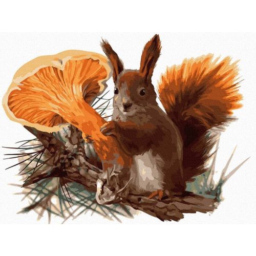 Gyűjtögető mókus - számfestő készlet, keretre feszítve ( 30x40 cm )