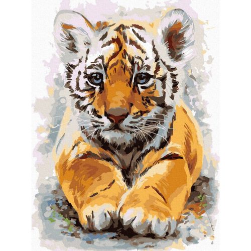 Édes tigris - számfestő készlet, keretre feszítve ( 30x40 cm )