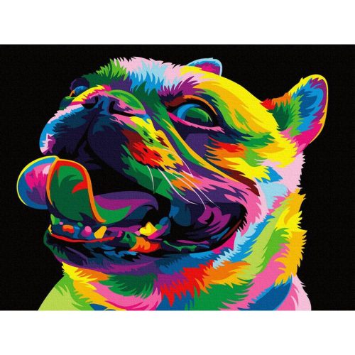 Szivárvány bulldog - számfestő készlet, keretre feszítve ( 30x40 cm )