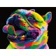 Szivárvány bulldog - Számos kifestő keretre feszítve (30x40 cm)