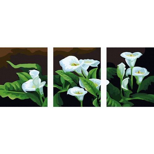 Fehér kála - Számos kifestő keretre feszítve (50x120 cm)