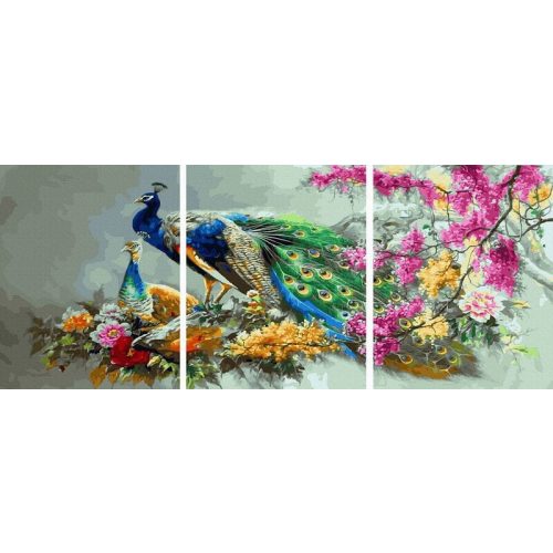 Többszínű páva család - Számos kifestő keretre feszítve (50x120 cm)
