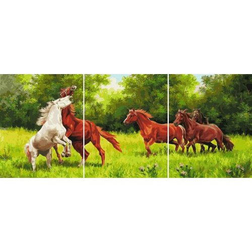 Vágta - Számos kifestő keretre feszítve (50x120 cm)