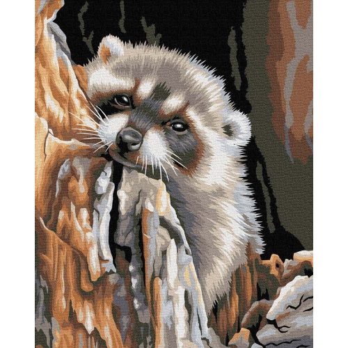 Édes mosómedve - Számos kifestő keretre feszítve (40x50 cm)