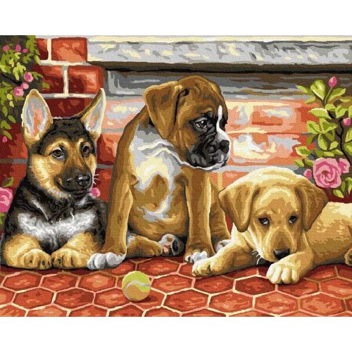 Három kölyök - Számos kifestő keretre feszítve (40x50 cm)