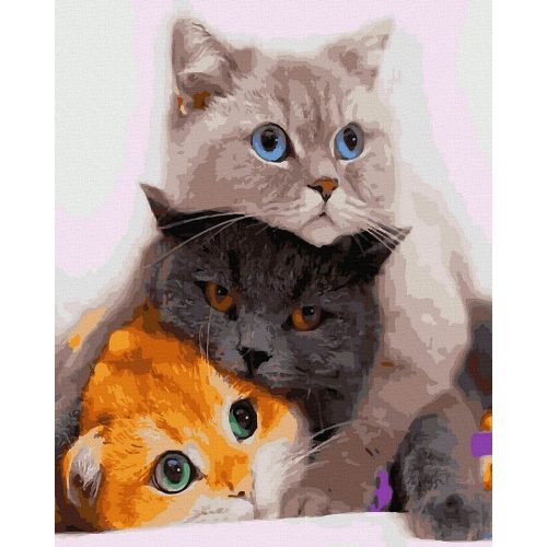 Macskák - Számfestő készlet