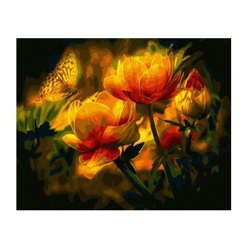 Az élet körforgása - Számos kifestő keretre feszítve (40x50 cm)
