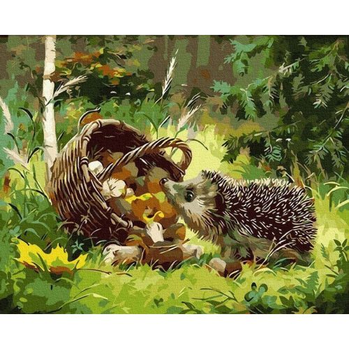 Erdő - Számos kifestő keret nélkül ( 40x50 cm )