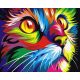 Szivárványos macska - számfestő készlet, keretre feszítve ( 40x50 cm )