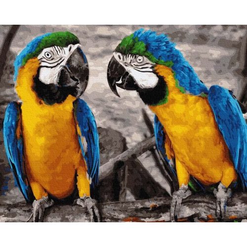 Brazil papagájok - számfestő készlet, keretre feszítve ( 40x50 cm )