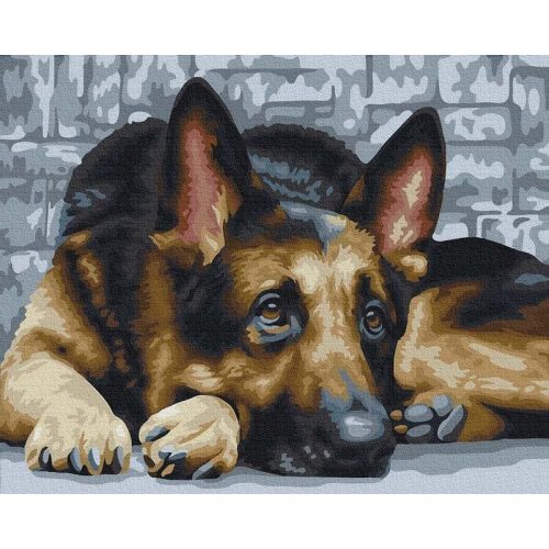 Kutya hűség - számfestő készlet, keretre feszítve ( 40x50 cm )